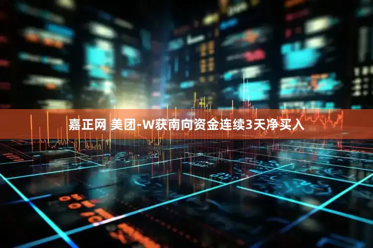 嘉正网 美团-W获南向资金连续3天净买入