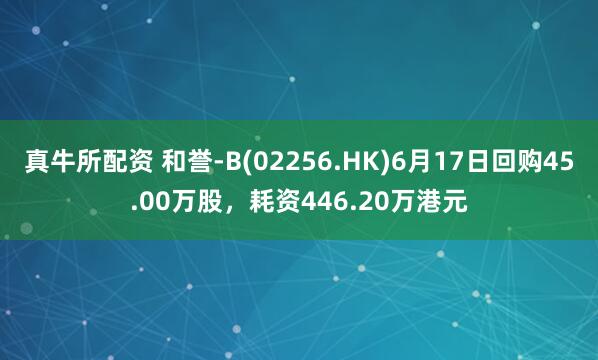 真牛所配资 和誉-B(02256.HK)6月17日回购45.00万股，耗资446.20万港元