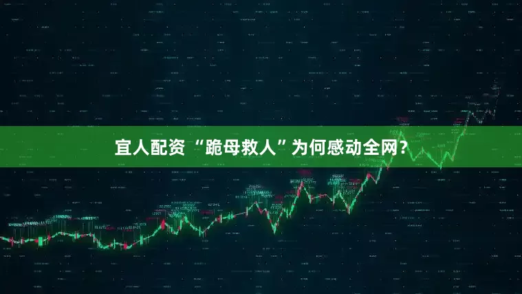 宜人配资 “跪母救人”为何感动全网？