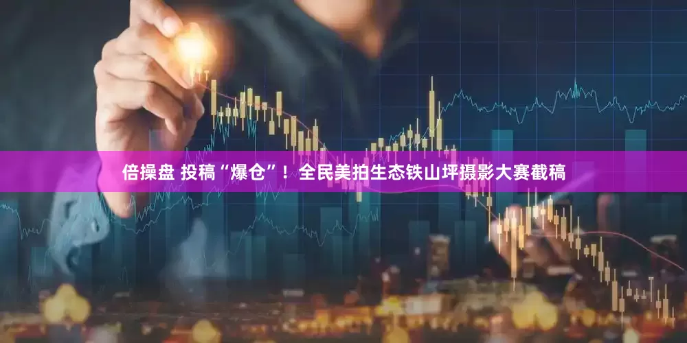倍操盘 投稿“爆仓”！全民美拍生态铁山坪摄影大赛截稿