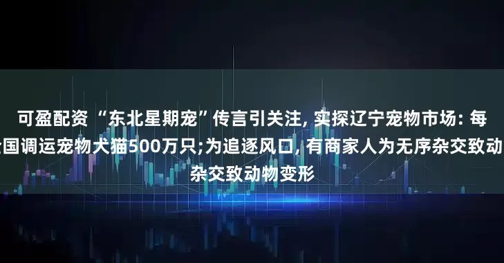 可盈配资 “东北星期宠”传言引关注, 实探辽宁宠物市场: 每年向全国调运宠物犬猫500万只;为追逐风口, 有商家人为无序杂交致动物变形