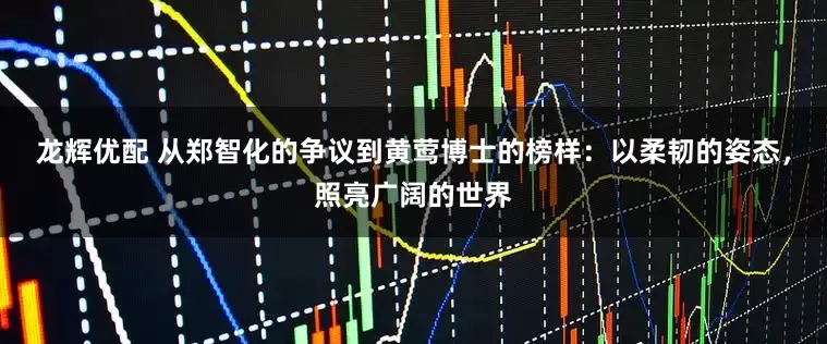 龙辉优配 从郑智化的争议到黄莺博士的榜样：以柔韧的姿态，照亮广阔的世界