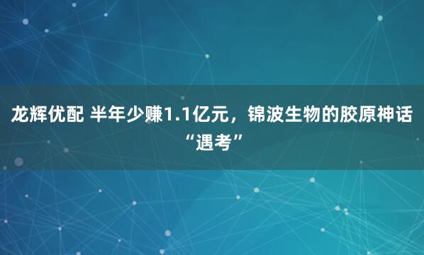 龙辉优配 半年少赚1.1亿元，锦波生物的胶原神话“遇考”